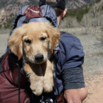 7 Best Camping Gear for Beginners in 2025