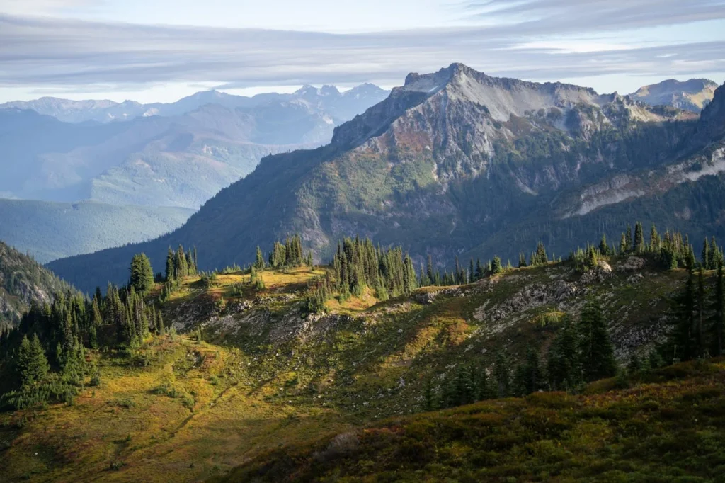 Life Changing Story – Mount Rainier National Park