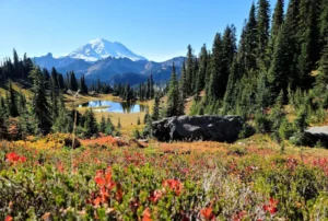 Read more about the article Life Changing Story – My Path to Hiking and Love
