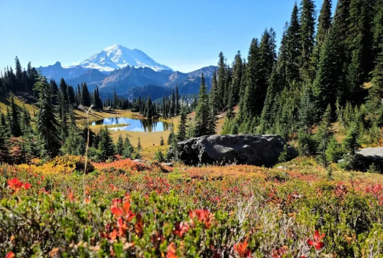 Life Changing Story – My Journey to Hiking and Finding Love